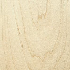 Macro Oak Wood