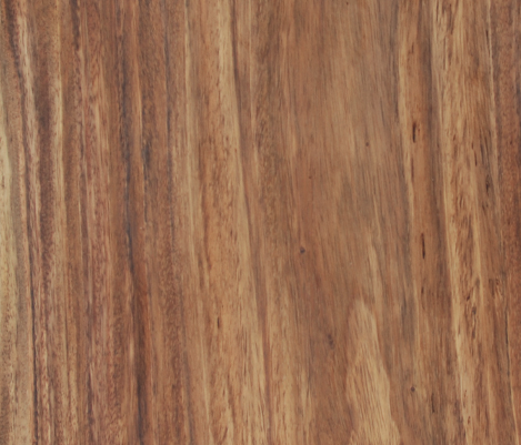 Macro Oak Wood